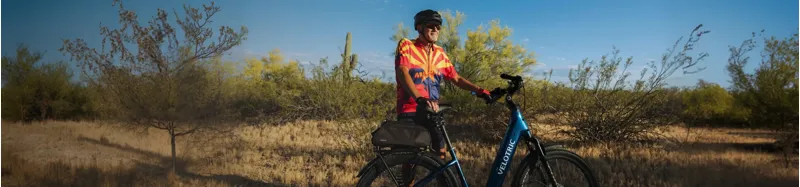 Cruiser eBikes