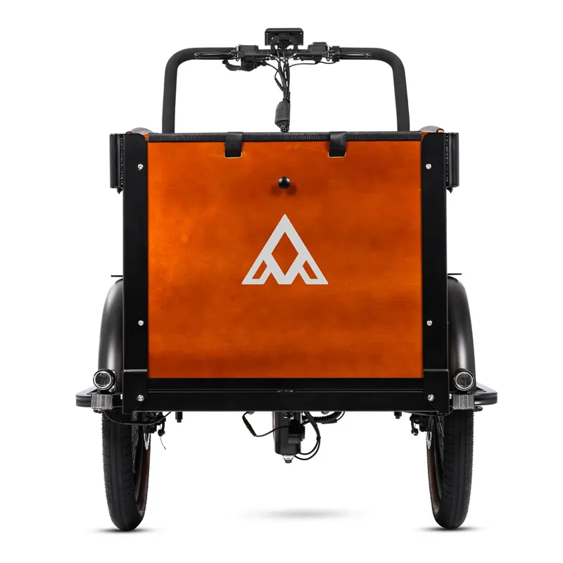 Addmotor EB2.0 E325 Electric Cargo Trike-4