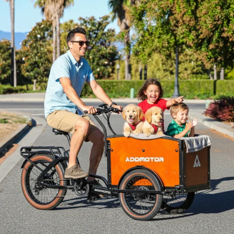 Addmotor EB2.0 E325 Electric Cargo Trike-7