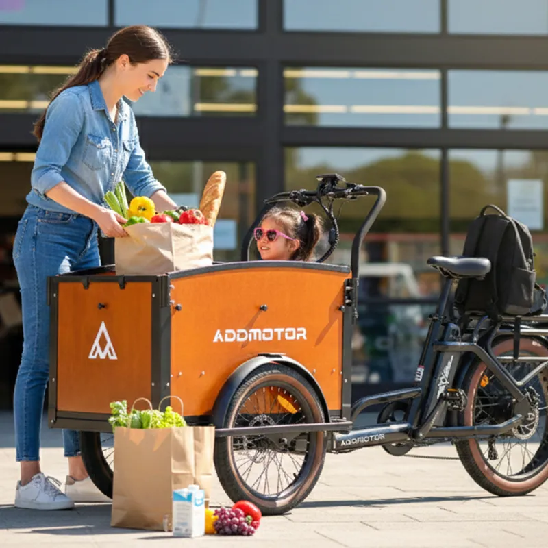 Addmotor EB2.0 E325 Electric Cargo Trike-9