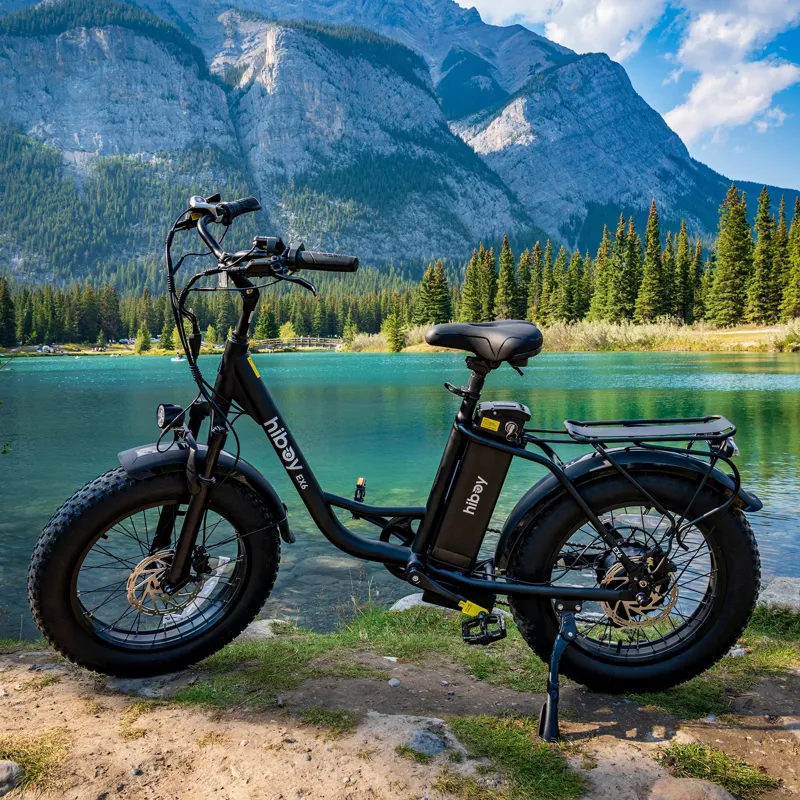 Hiboy EX6 Step-thru Fat Tire Electric Bike - Black-6