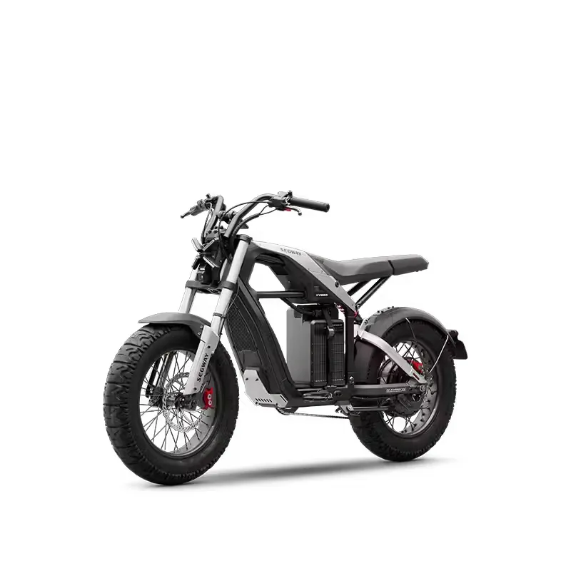 Segway Xyber Electric Bike